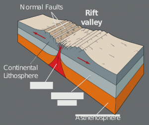 Schematic slice through the East African Rift Valley. The upper mantle (at about 40 km depth) is upwelling due the extension and is the ultimate source of erupting carbonatite lavas like in Southern Malawi (after: www.geogrify.net) 