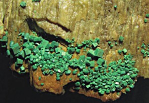 Torbernite, an important secondary uranium mineral (Photo: Aangelo) 